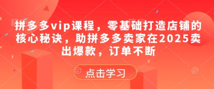拼多多vip课程，零基础打造店铺的核心秘诀，助拼多多卖家在2025卖出爆款，订单不断-生财赚 -赚钱新动力