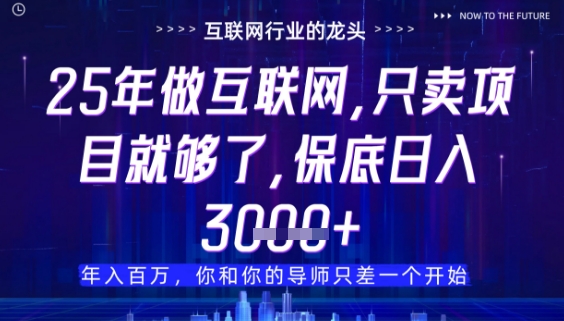 什么！25年你还在找项目做？风口早就变了，卖项目才是稳挣不赔【揭秘】-生财赚 -赚钱新动力