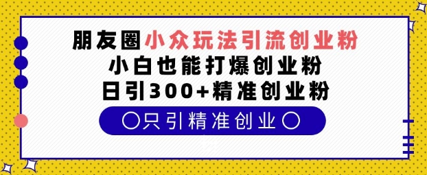 朋友圈小众玩法引流创业粉，小白也能打爆创业粉，日引300+精准创业粉【揭秘】-生财赚 -赚钱新动力