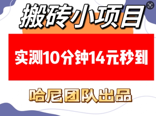 搬砖小项目，实测10分钟14元秒到，每天稳定几张(赠送必看稳定)-生财赚 -赚钱新动力