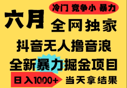 25年6月高爆抖音无人直播最新撸音浪掘金项目，小白可做，无脑日入1k+，门槛低可批量矩阵【揭秘】-生财赚 -赚钱新动力