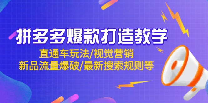 （14681期）拼多多爆款打造教学：直通车玩法/视觉营销/新品流量爆破/最新搜索规则等-生财赚 -赚钱新动力