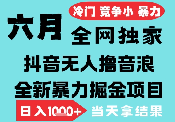 2025年6月高爆抖音无人直播最新撸音浪掘金项目，无脑日入1k+，低门槛小白可做，可矩阵放大【揭秘】-生财赚 -赚钱新动力