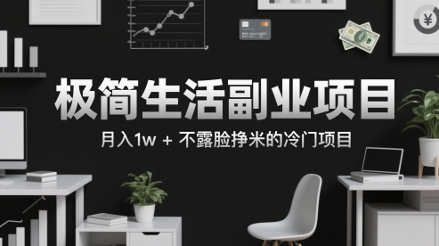 极简生活副业项目，月入1w+不露脸挣米的冷门项目-生财赚 -赚钱新动力