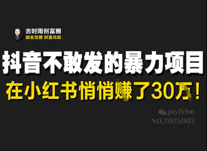 抖音不敢发的暴利项目，在小红书悄悄挣了30W-生财赚 -赚钱新动力