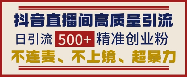 抖音直播间引流创业粉，无需连麦、不用上镜、超暴力，日引流500+高质量精准创业粉-生财赚 -赚钱新动力