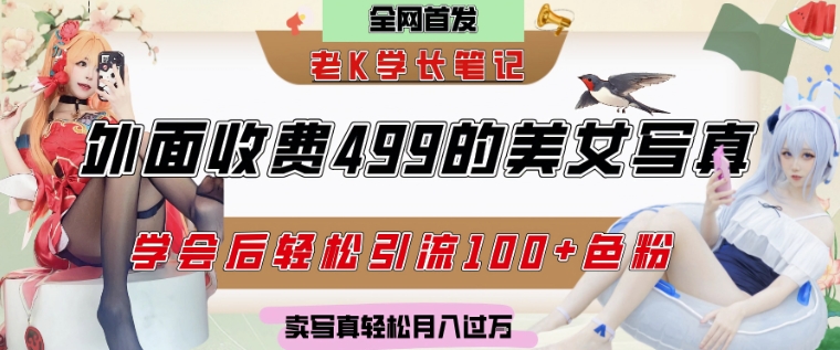 外面收费499的美女写真制作技术，学会后轻松引流S粉变现，日引100+S粉，轻松月入过W-生财赚 -赚钱新动力