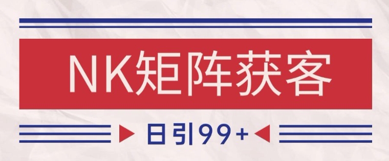 小红书某音NK赛道引流获客 自热矩阵日引200+【揭秘】-生财赚 -赚钱新动力