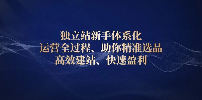 （13914期）独立站新手体系化 运营全过程，助你精准选品、高效建站、快速盈利-生财赚 -赚钱新动力