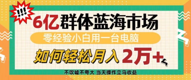 6亿群体蓝海市场，零经验小白用一台电脑，如何轻松月入过w【揭秘】-生财赚 -赚钱新动力