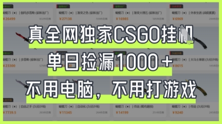 真全网独家CSGO挂G，单日捡漏1k+【揭秘】-生财赚 -赚钱新动力