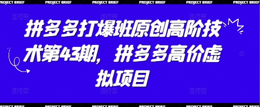 拼多多打爆班原创高阶技术第43期，拼多多高价虚拟项目-生财赚 -赚钱新动力