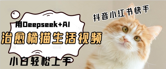 疯狂火爆，用Deepseek+AI做治愈橘猫系列视频，小白轻松制作+快速拿到结果-生财赚 -赚钱新动力