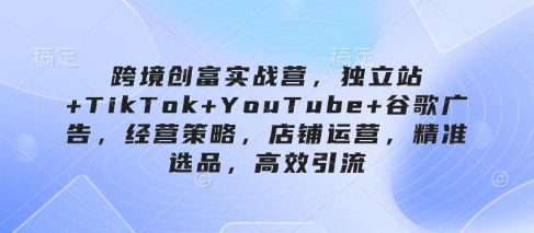 跨境创富实战营，独立站+TikTok+YouTube+谷歌广告，经营策略，店铺运营，精准选品，高效引流-生财赚 -赚钱新动力