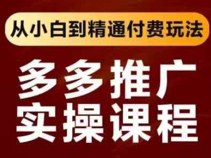 拼多多推广实操课程，从小白到精通付费玩法-生财赚 -赚钱新动力