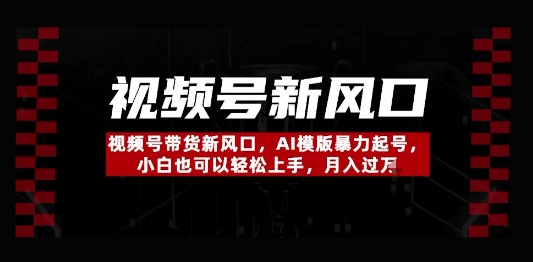 视频号带货新风口，AI模版暴力起号，小白也可以轻松上手，月入过W-生财赚 -赚钱新动力