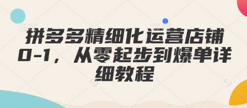 拼多多精细化运营店铺0-1，从零起步到爆单详细教程-生财赚 -赚钱新动力