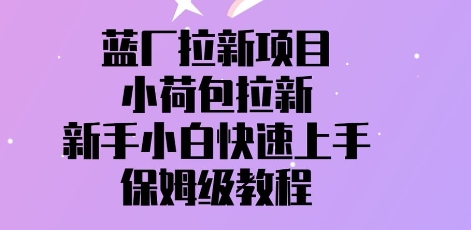 蓝厂拉新项目，小荷包拉新，新手小白快速上手，保姆级教程-生财赚 -赚钱新动力