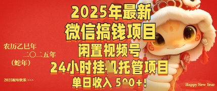 2025年最新微信搞钱项目，闲置视频号年24小时挂G托管项目，单日收入多张-生财赚 -赚钱新动力
