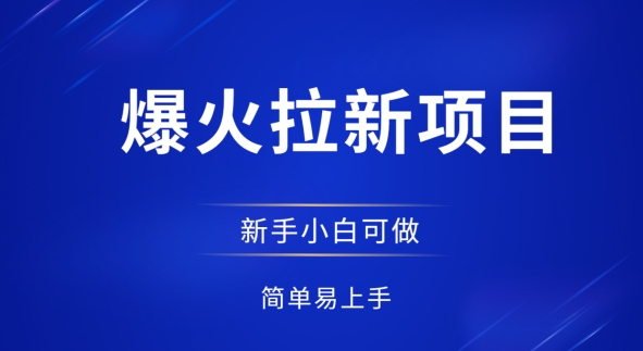 爆火拉新项目，有手就行，小白轻松入门，日入1张拉新整套流程-生财赚 -赚钱新动力