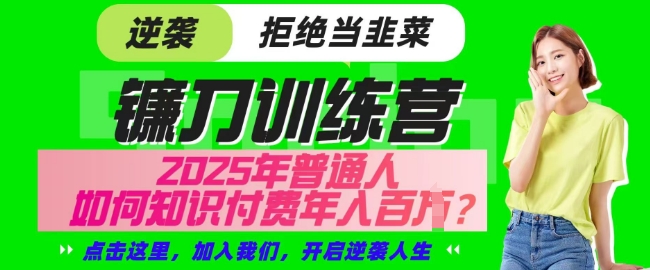 【网创项目终点站-镰刀训练营超级IP合伙人】25年普通人如何通过知识付费实现逆袭【揭秘】-生财赚 -赚钱新动力