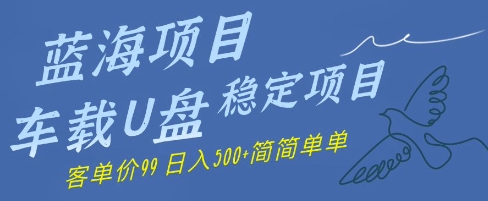 蓝海项目车载U盘稳定项目，挣的就是信息差，客单价99，日入几张简简单单-生财赚 -赚钱新动力