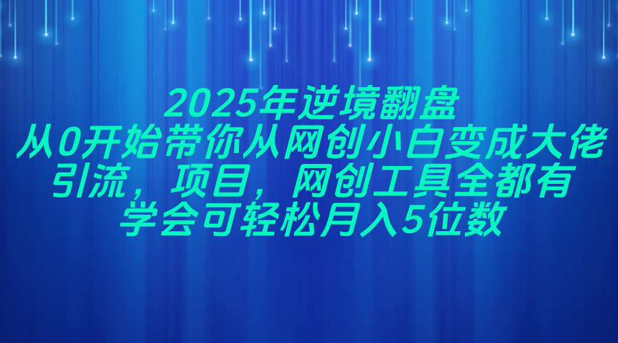 （14473期）2025年逆境翻盘，从0开始带你从网创小白变成大佬，引流，项目，网创工…-生财赚 -赚钱新动力