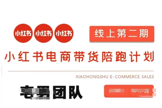 小红书电商带货课2期，月利润20个的小红书电商的有货源，无货源，虚拟产品，付费投流等整套玩法-生财赚 -赚钱新动力