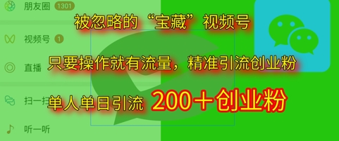 被忽略的“宝藏”视频号引流精准创业粉单人单日引流200+精准粉-生财赚 -赚钱新动力