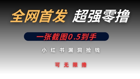 全网首发无限零撸捡钱项目，小红书一张截图0.5元可无限零撸-生财赚 -赚钱新动力