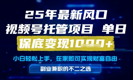 25年最新风口，视频号托管项目，单日保底变现1k+，手把手教学【揭秘】-生财赚 -赚钱新动力