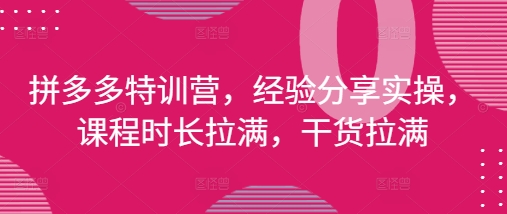 拼多多特训营，经验分享实操，课程时长拉满，干货拉满(更新25年4月)-生财赚 -赚钱新动力
