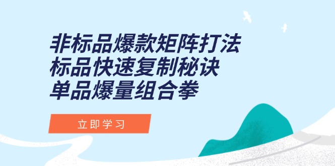 （15068期）非标品爆款矩阵打法，标品快速复制秘诀，单品爆量组合拳-生财赚 -赚钱新动力