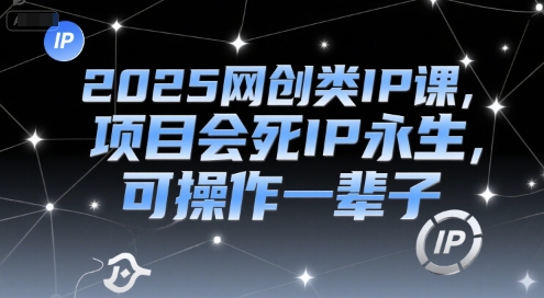2025网创类IP课，项目会死IP永生，可操作一辈子-生财赚 -赚钱新动力