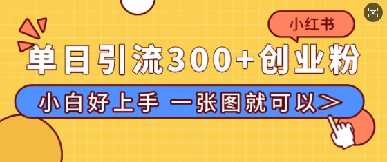 小红书单日引流300+创业粉，“简单粗暴”引流法，小白好上手，私信回不完-生财赚 -赚钱新动力