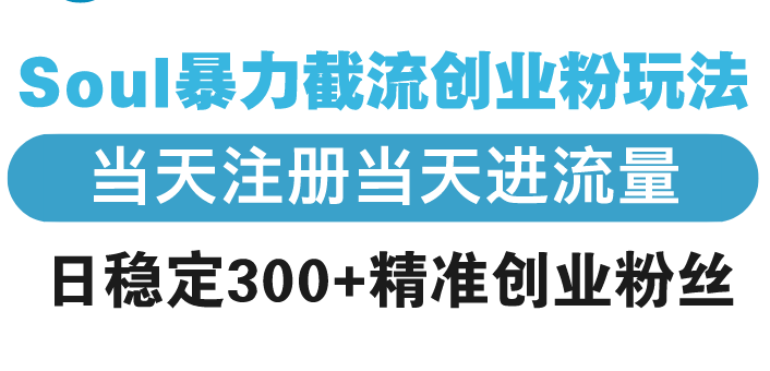 （13935期）Soul暴力截流创业粉玩法，当天注册当天进流量，日稳定300+精准创业粉丝-生财赚 -赚钱新动力