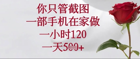 你只管截图，一部手机在家操作，一小时120.一天5张【揭秘】-生财赚 -赚钱新动力