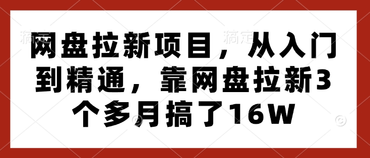 网盘拉新项目，从入门到精通，靠网盘拉新3个多月搞了16W-生财赚 -赚钱新动力