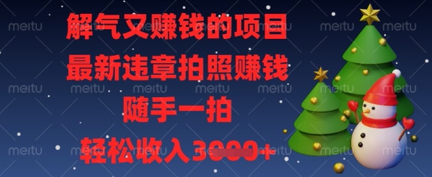 解气又挣钱的项目，最新违章拍照挣钱，随手一拍，轻松收入数张【揭秘】-生财赚 -赚钱新动力