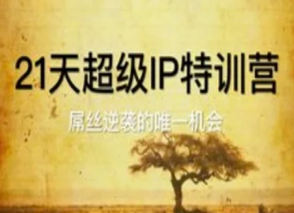 21天超级IP特训营，屌丝逆袭的唯一机会-生财赚 -赚钱新动力