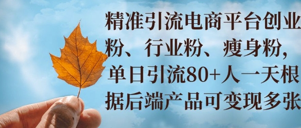 小投资撬动大收益，精准引流创业粉、行业粉，单日引流80+，一天可变现多张-生财赚 -赚钱新动力